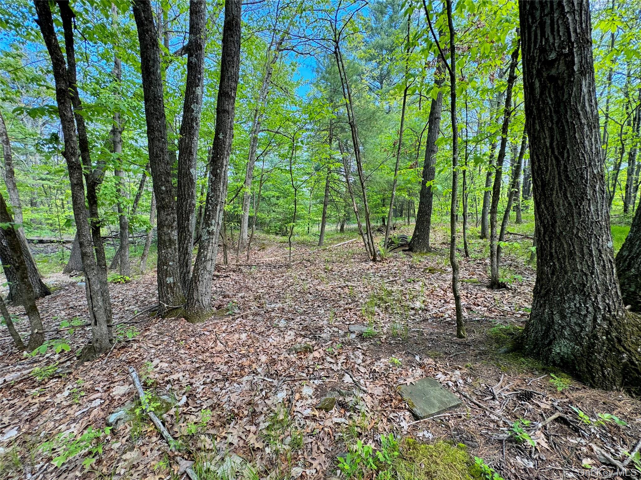 TBD Bill Matter Road – For Sale photo 14