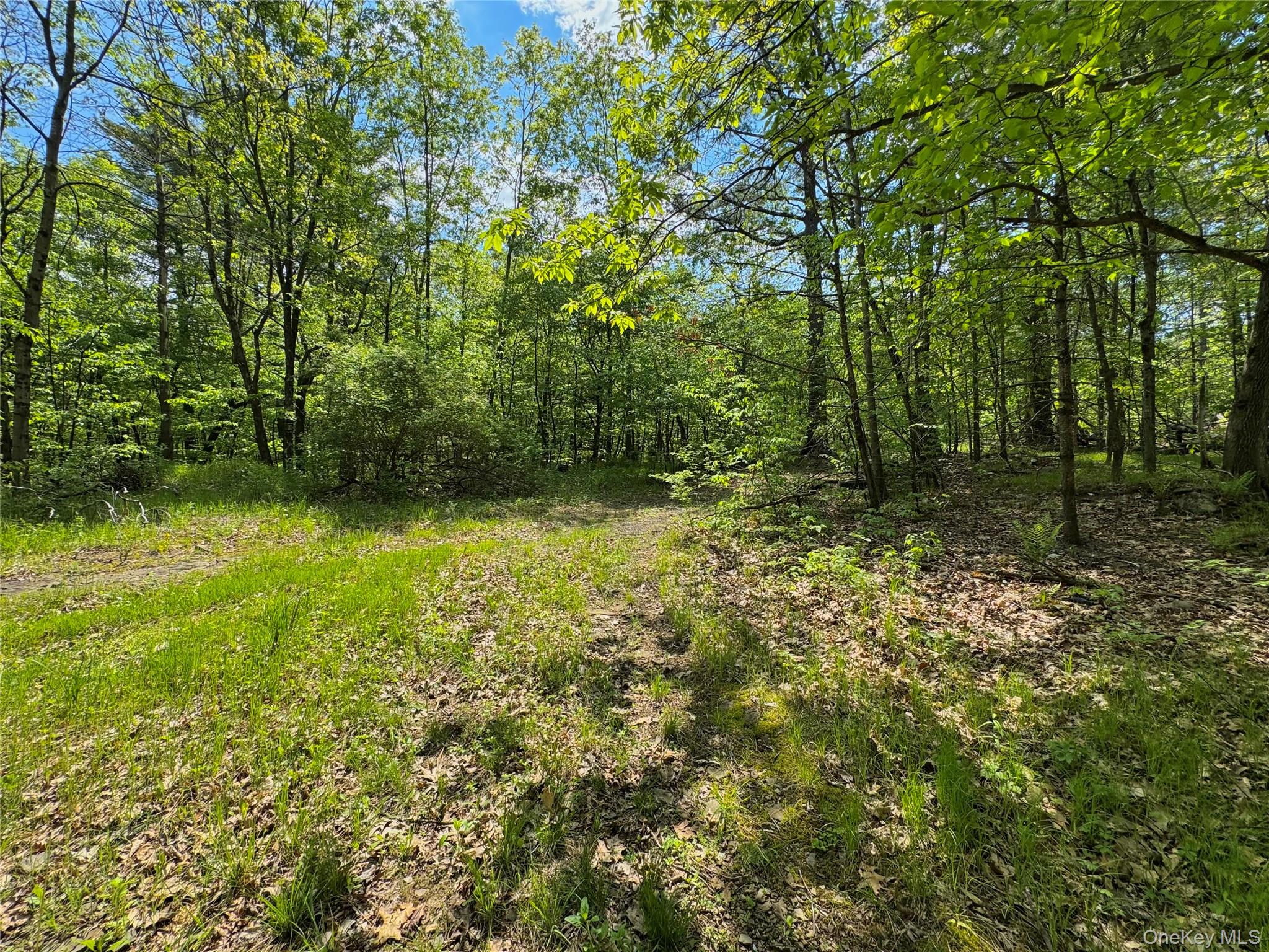 TBD Bill Matter Road – For Sale photo 9