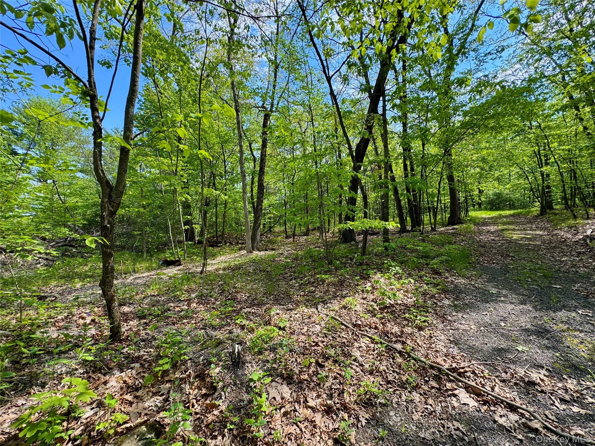 TBD Bill Matter Road – For Sale photo 6