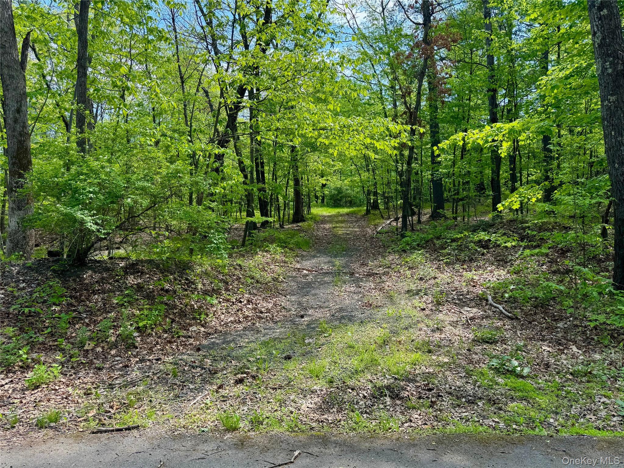 TBD Bill Matter Road – For Sale photo 4