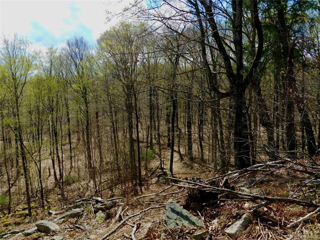 Shandelee Road – For Sale photo 2