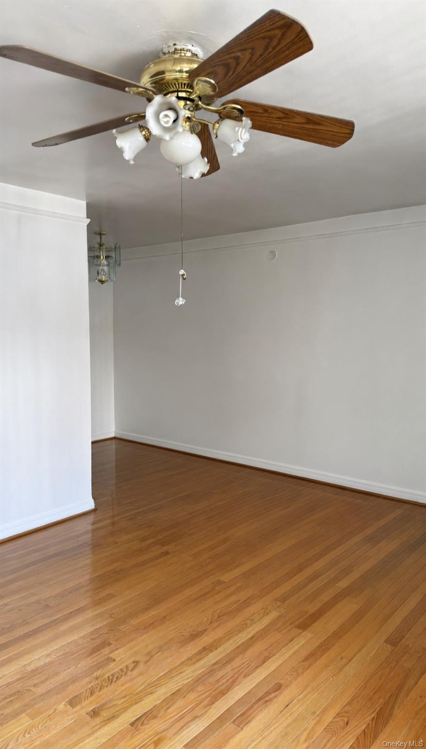 214-07B Hillside Ave, Unit Unit B photo 3