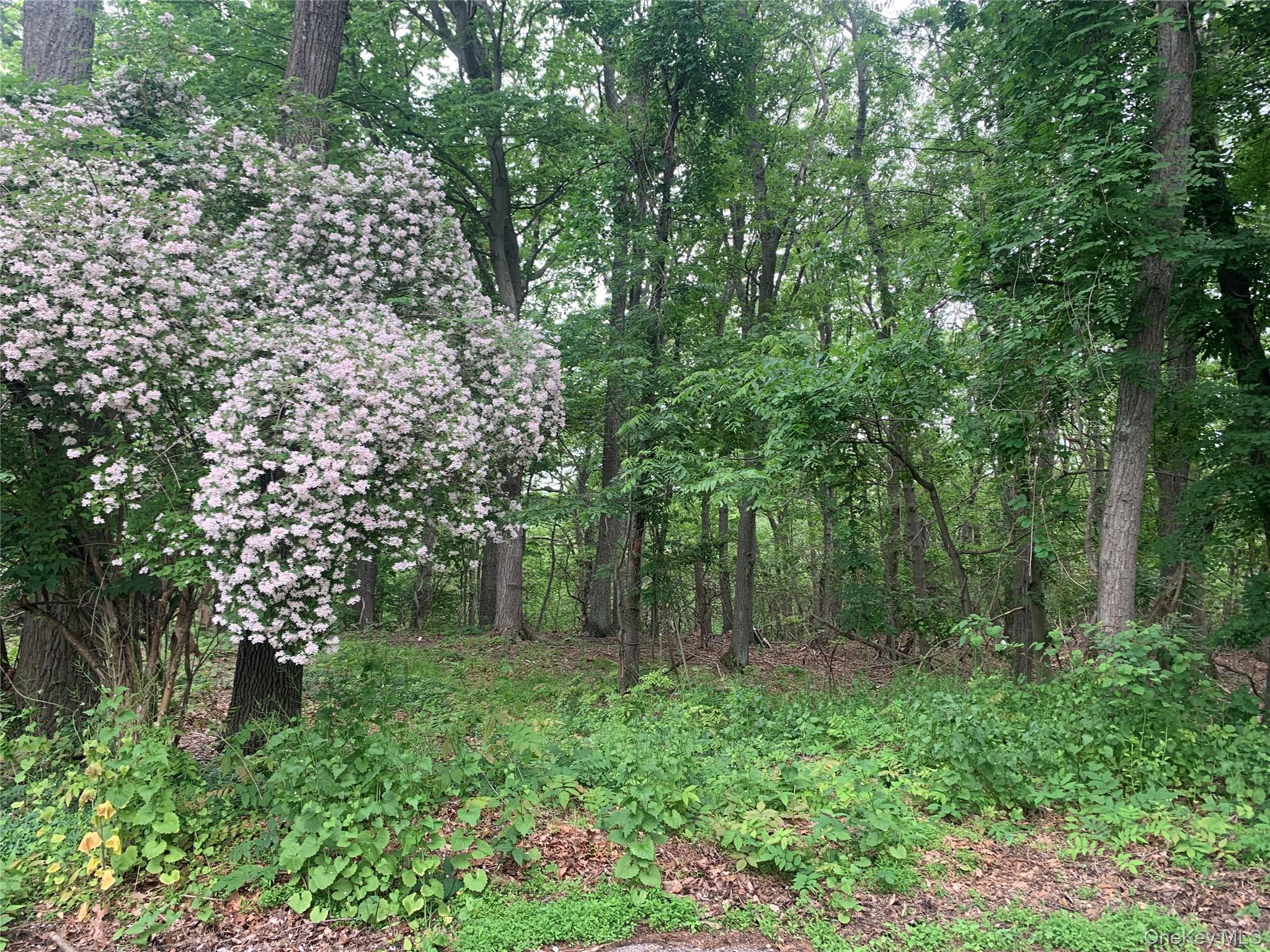 105 Laurel Lane – For Sale