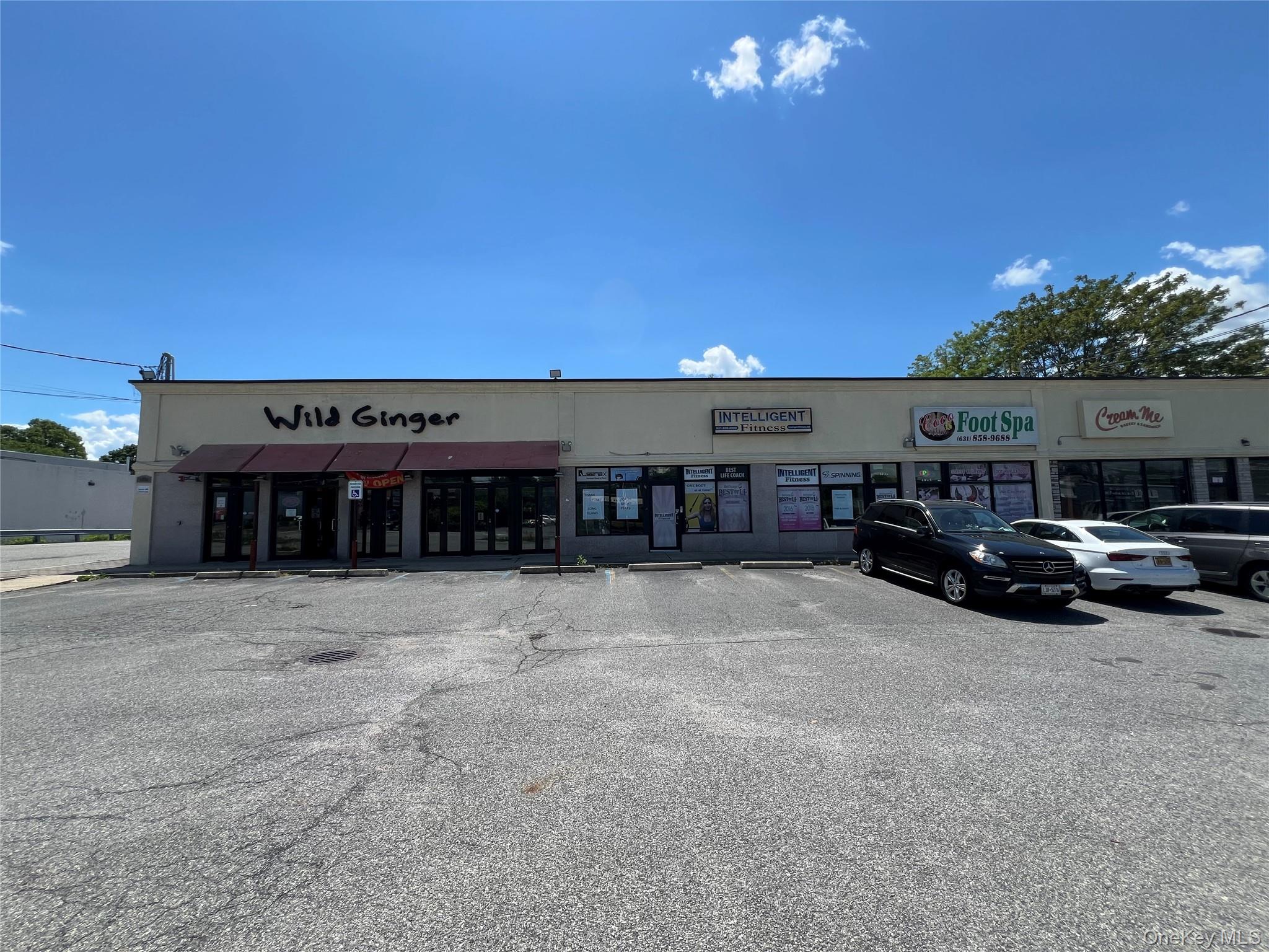 3012A+3012 Jericho Turnpike – For Rent photo 3
