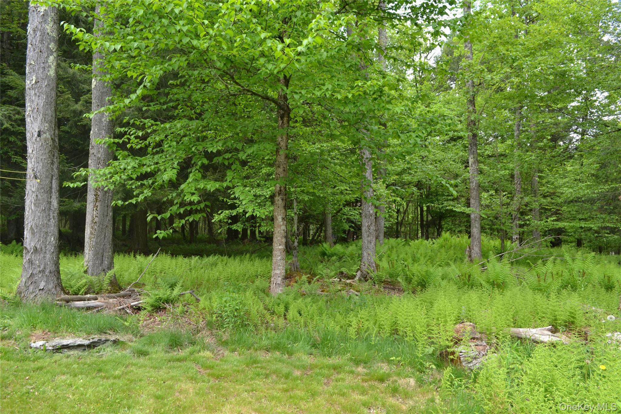 113 Lake Muskoday Road – For Sale photo 22