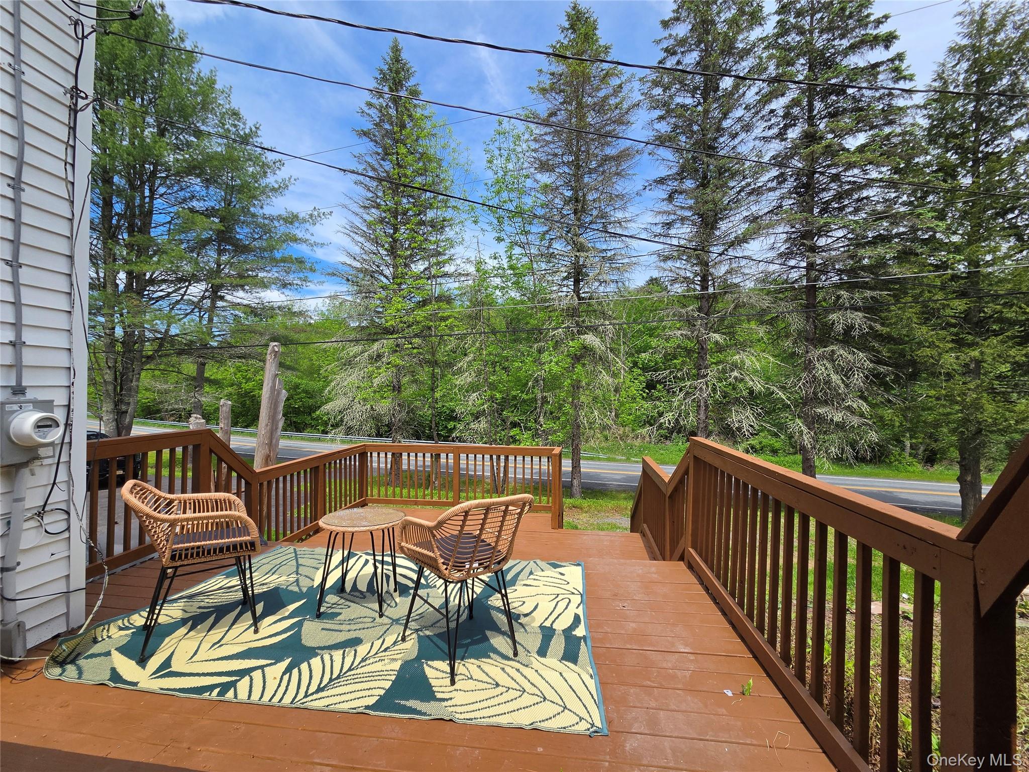 253 Harris Bushville Road – For Sale photo 3