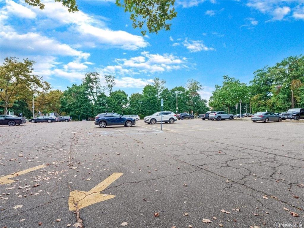 56 Edwards Street, Unit 2B photo 18