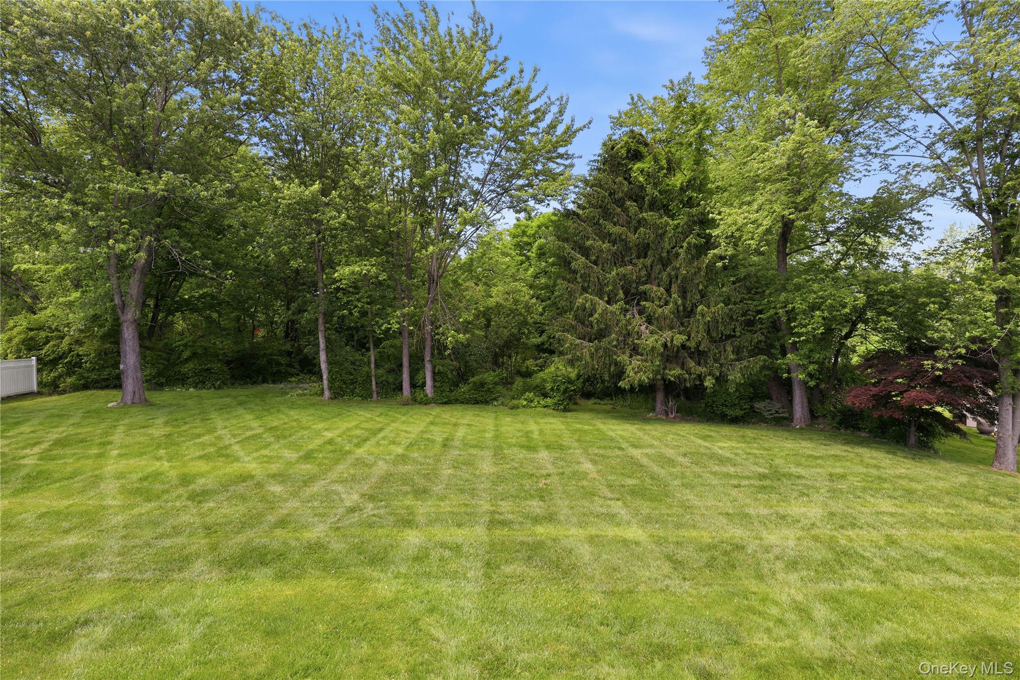 3093 Ferncrest Drive – For Sale photo 7