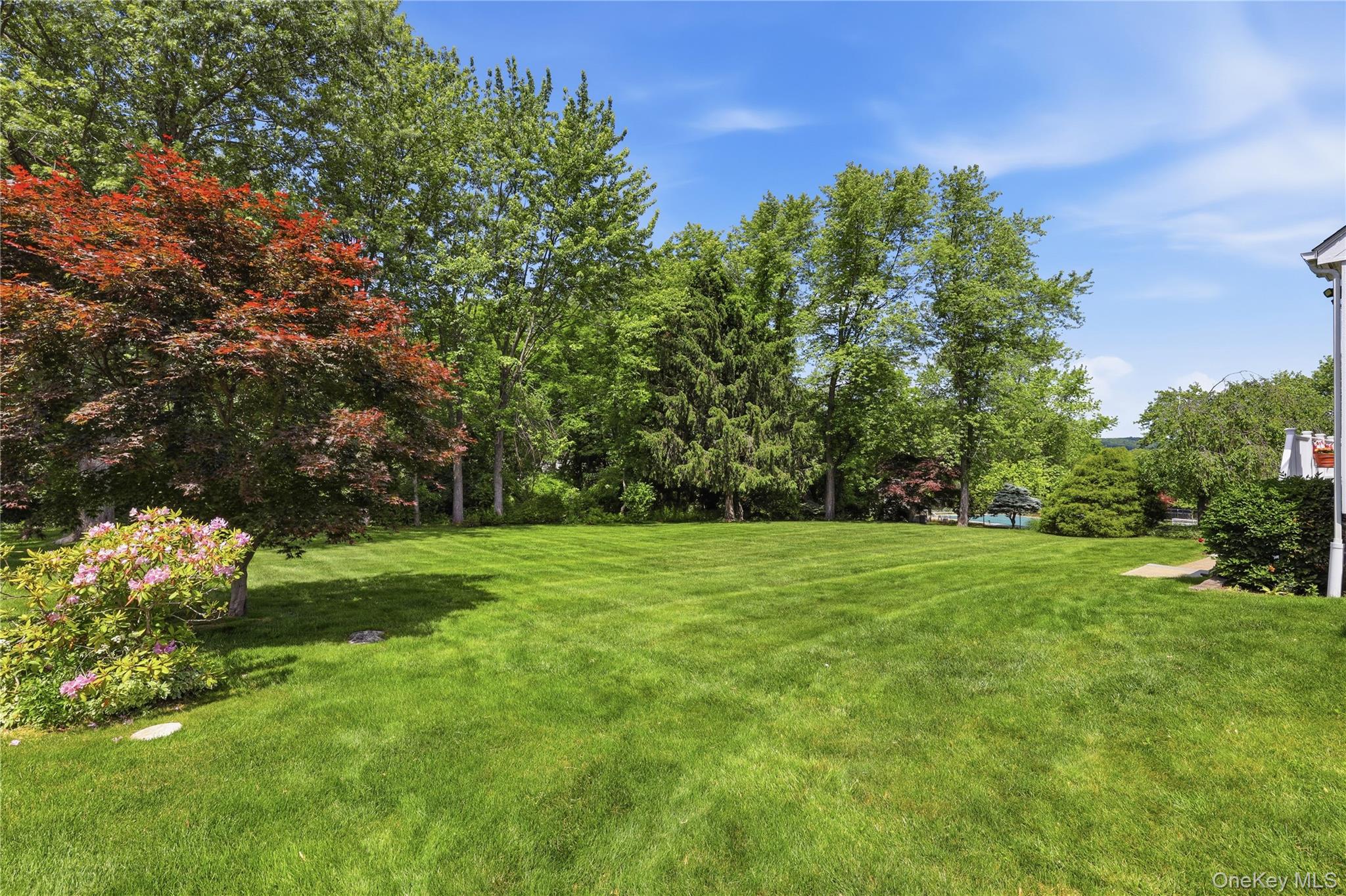 3093 Ferncrest Drive – For Sale photo 5