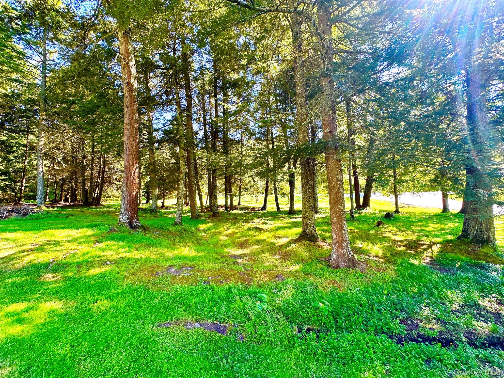 12 Mesmer Hill Road – For Sale photo 17
