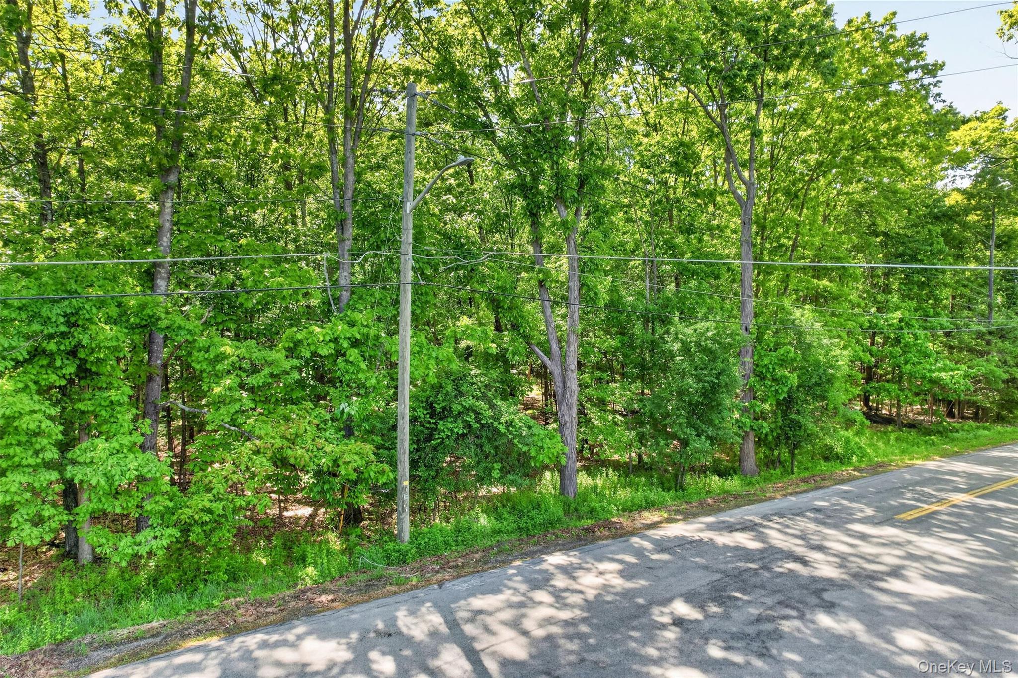 Dosen Road – For Sale photo 2