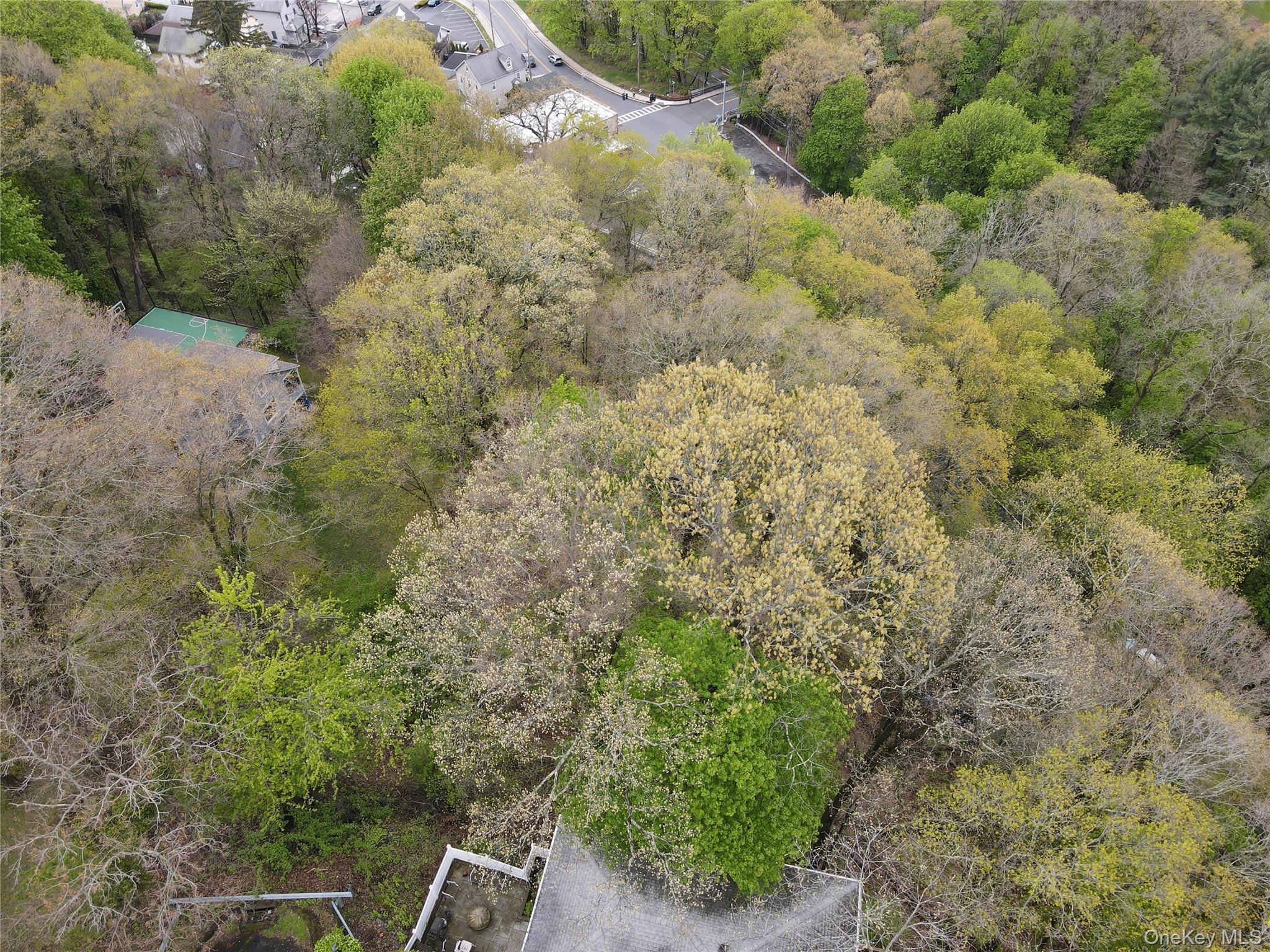 18 Columbus Avenue – For Sale photo 5