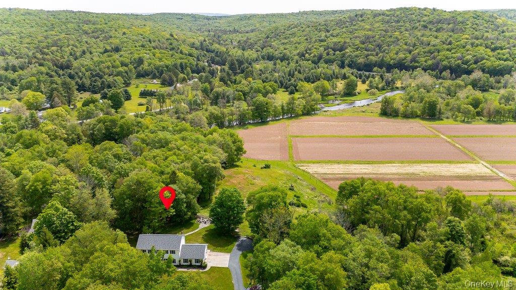 369 Grey Road – For Sale photo 45