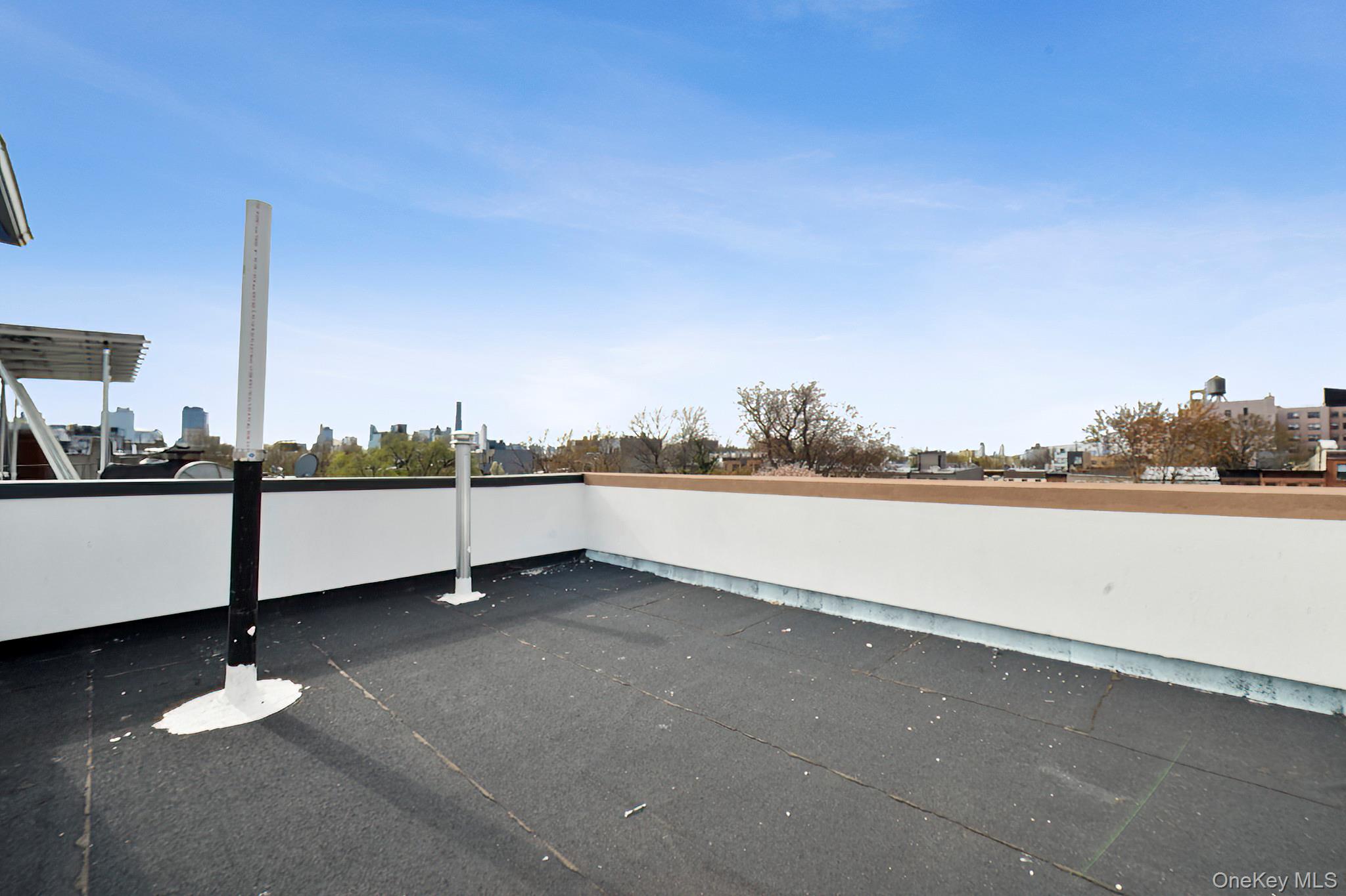 256 PUTNAM Avenue, Unit 4PH photo 10