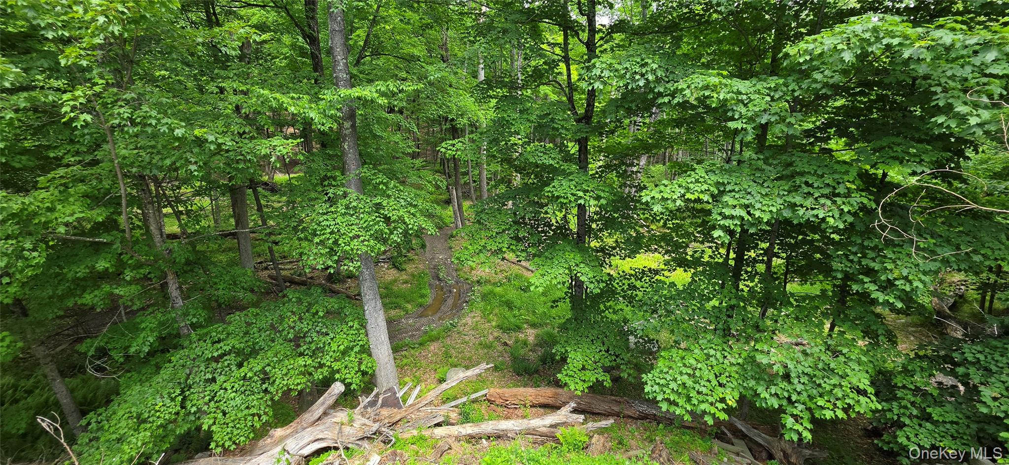 00 Ski Run Road – For Sale photo 9