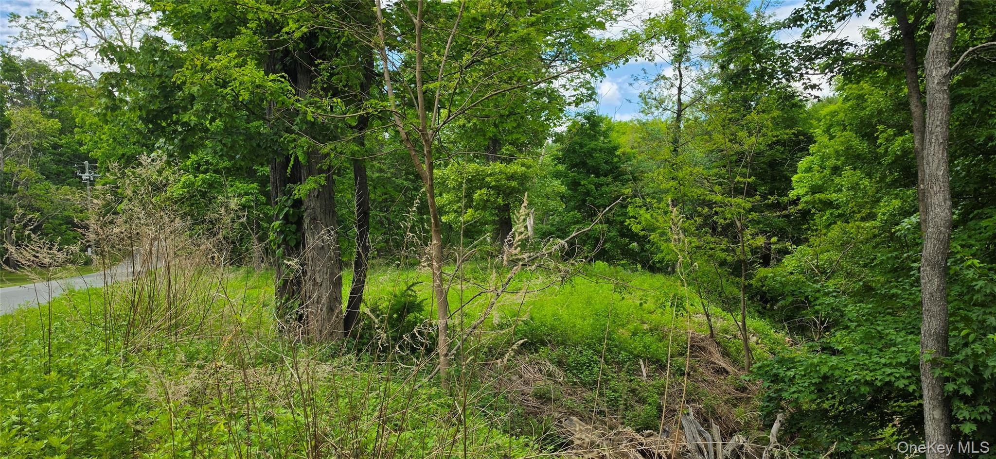 00 Ski Run Road – For Sale photo 15