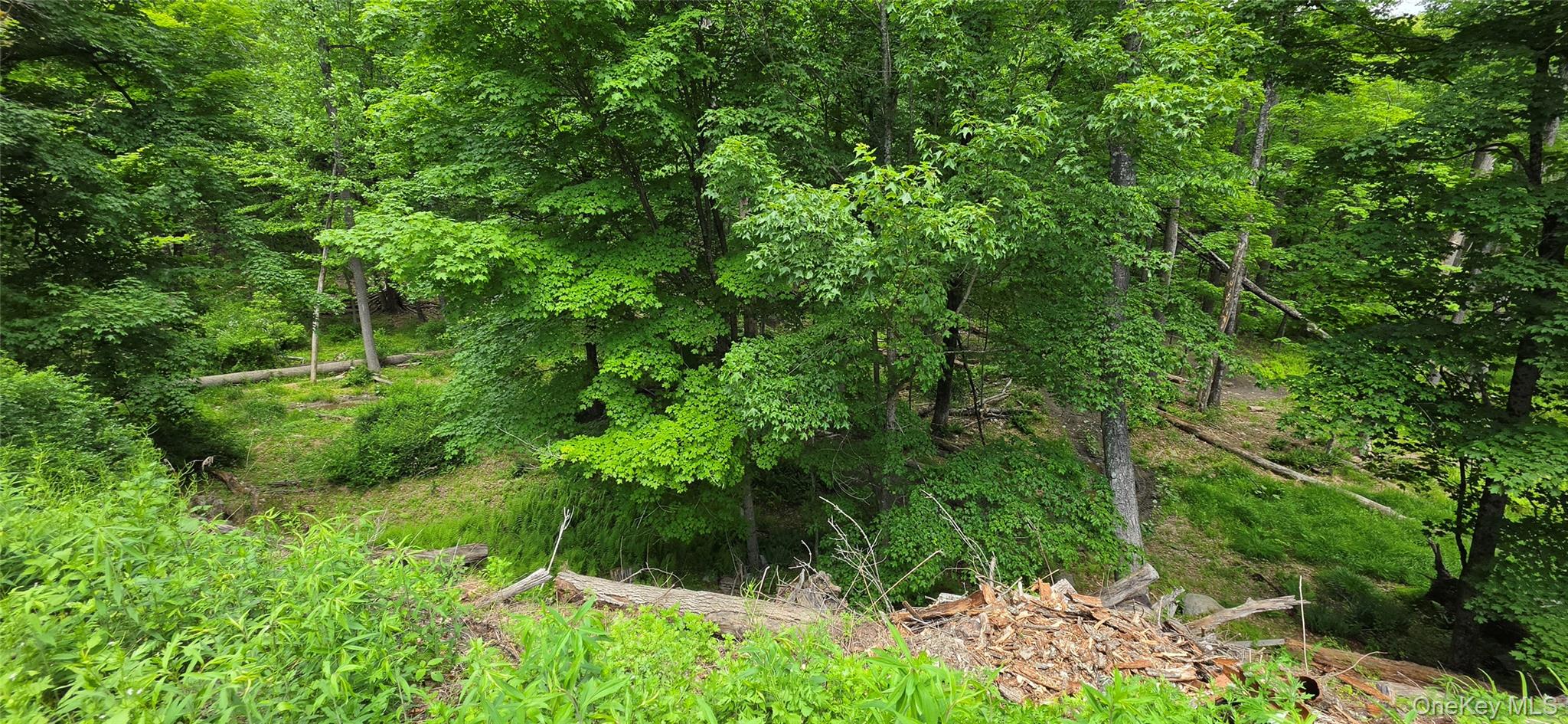 00 Ski Run Road – For Sale photo 7