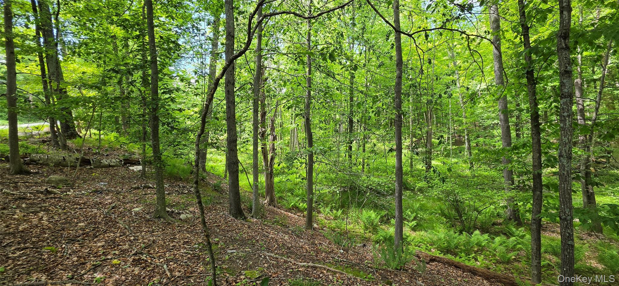 00 Ski Run Road – For Sale photo 10