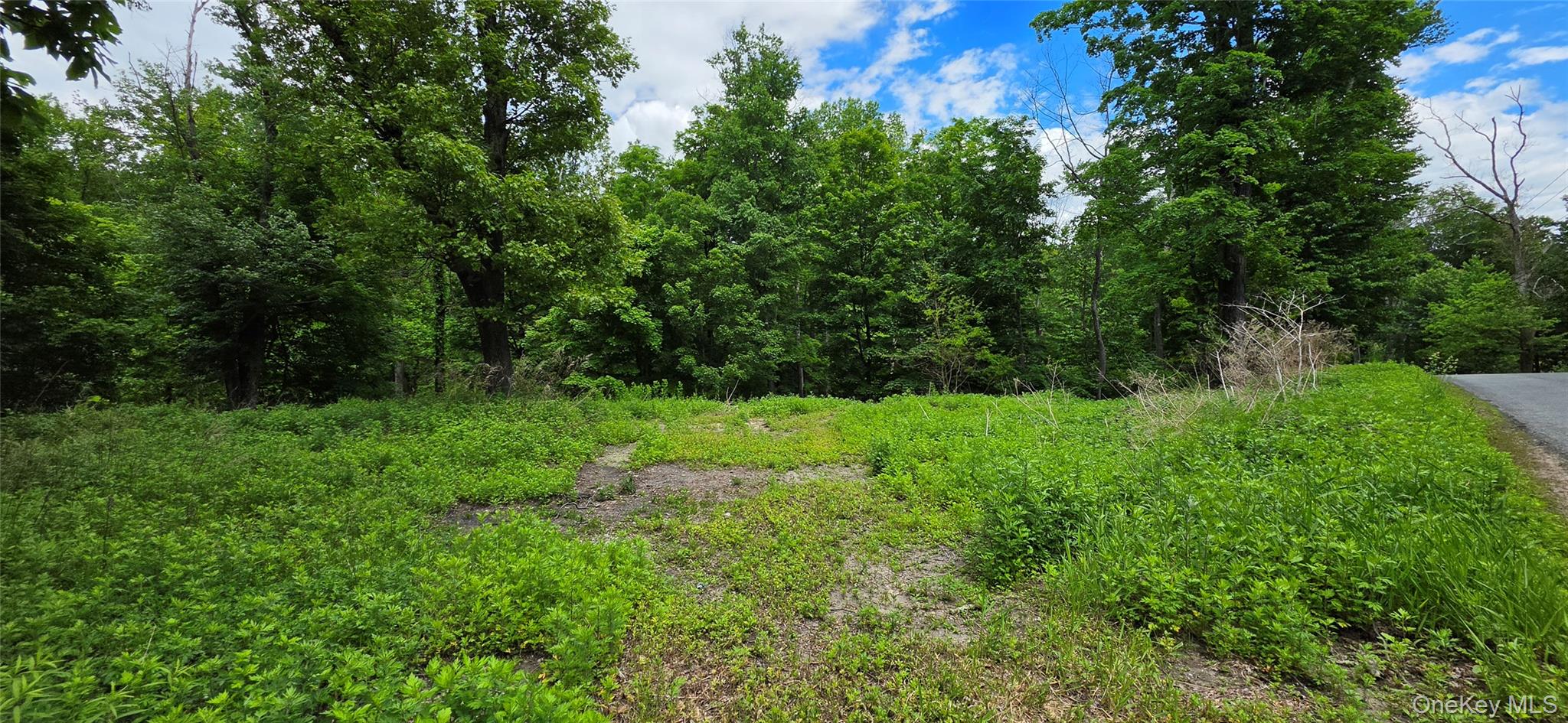00 Ski Run Road – For Sale photo 5