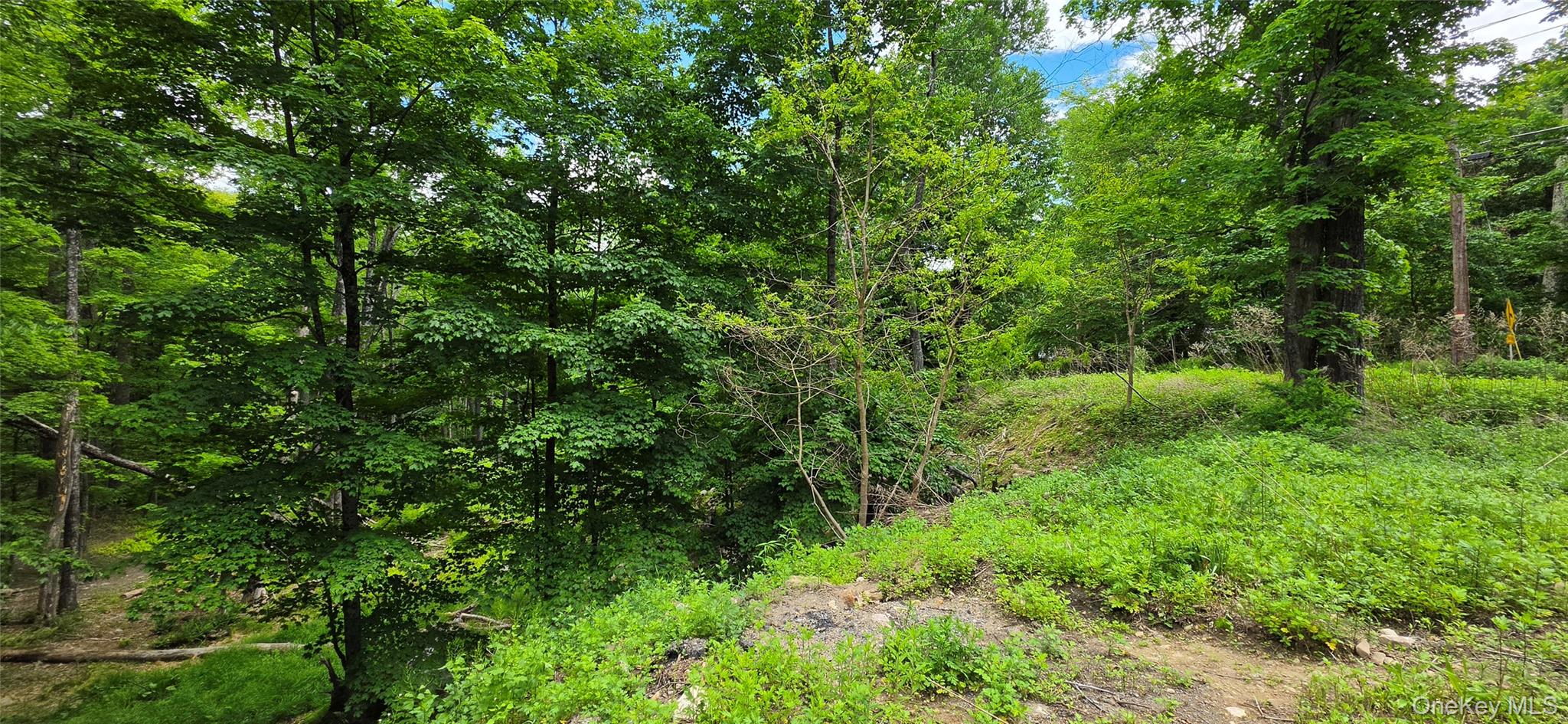 00 Ski Run Road – For Sale photo 8