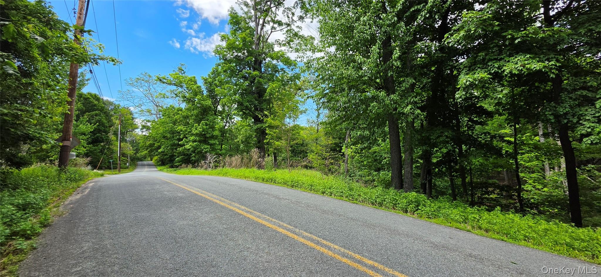 00 Ski Run Road – For Sale photo 4