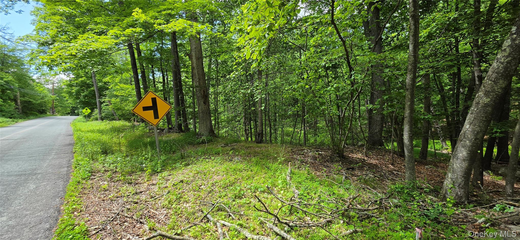 00 Ski Run Road – For Sale photo 14