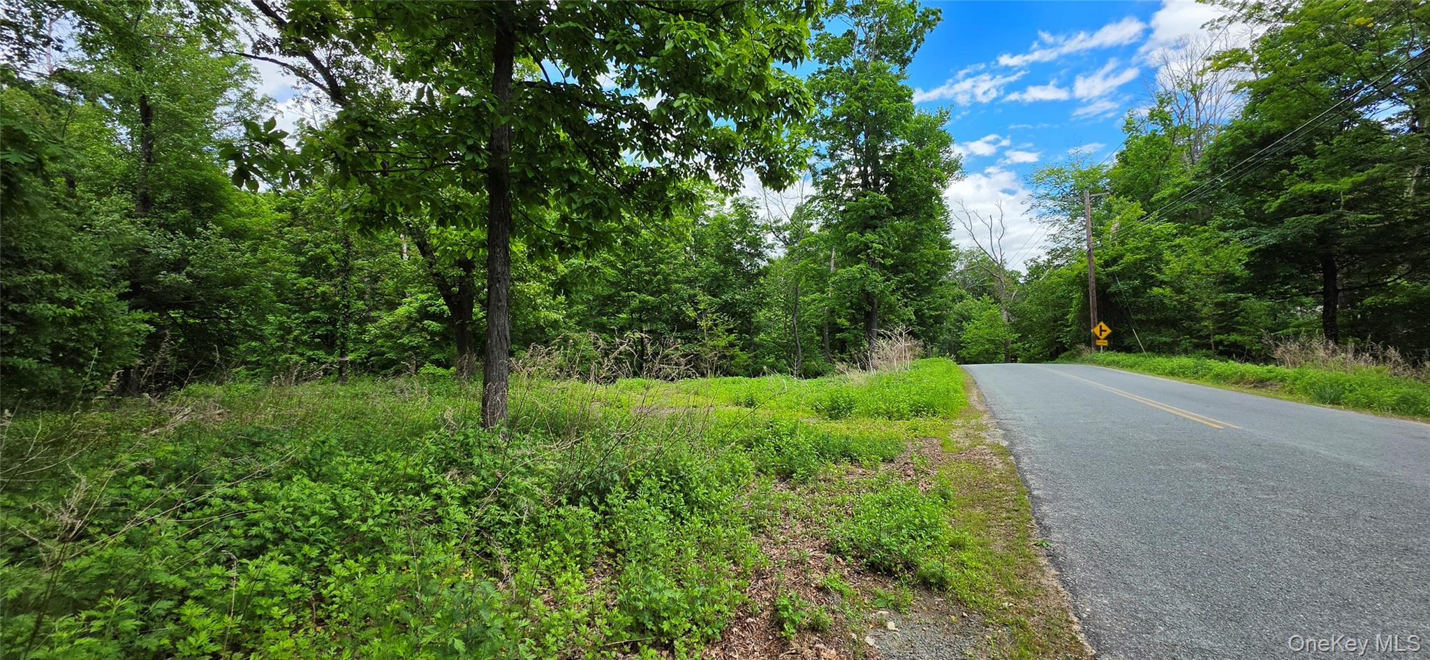 00 Ski Run Road – For Sale