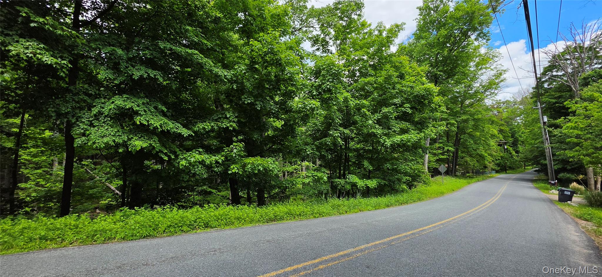 00 Ski Run Road – For Sale photo 3