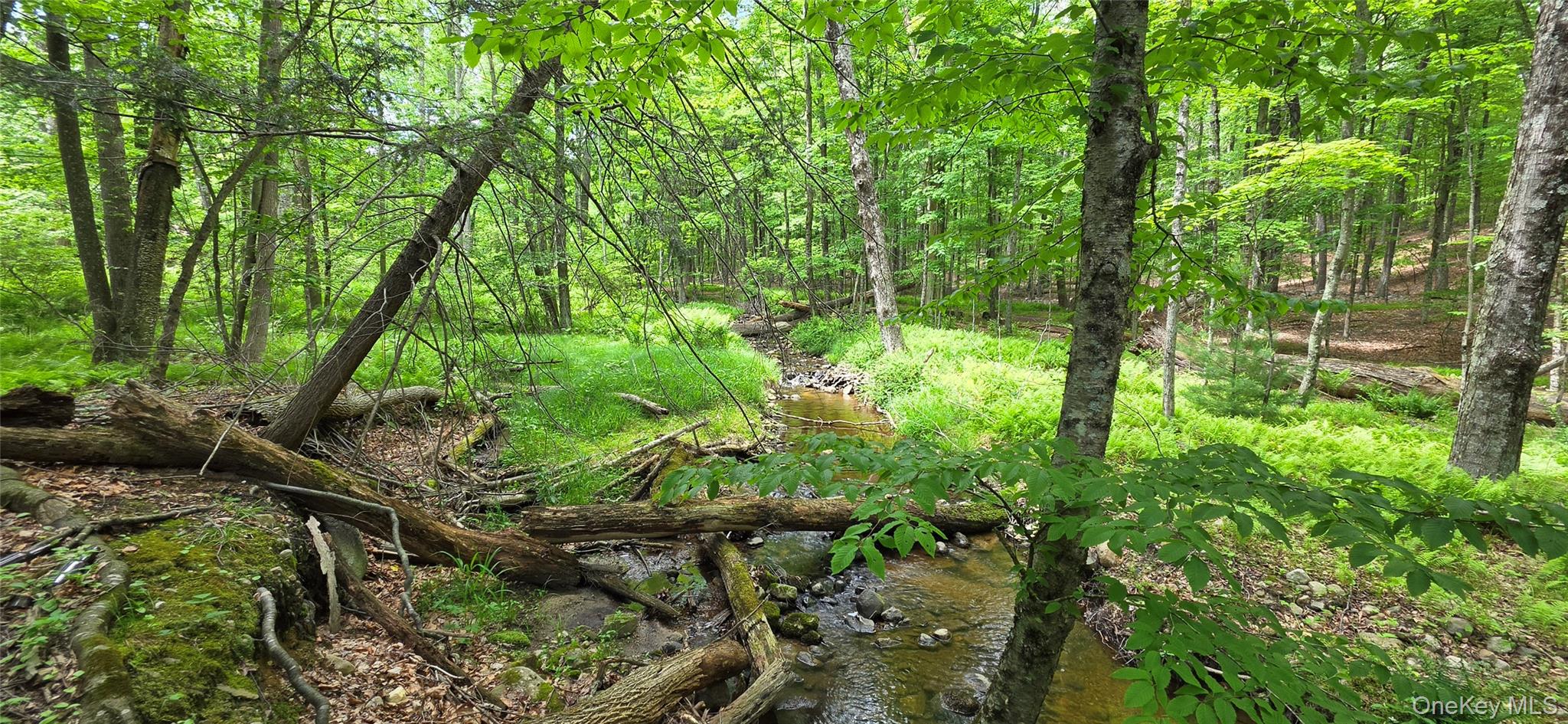 00 Ski Run Road – For Sale photo 2