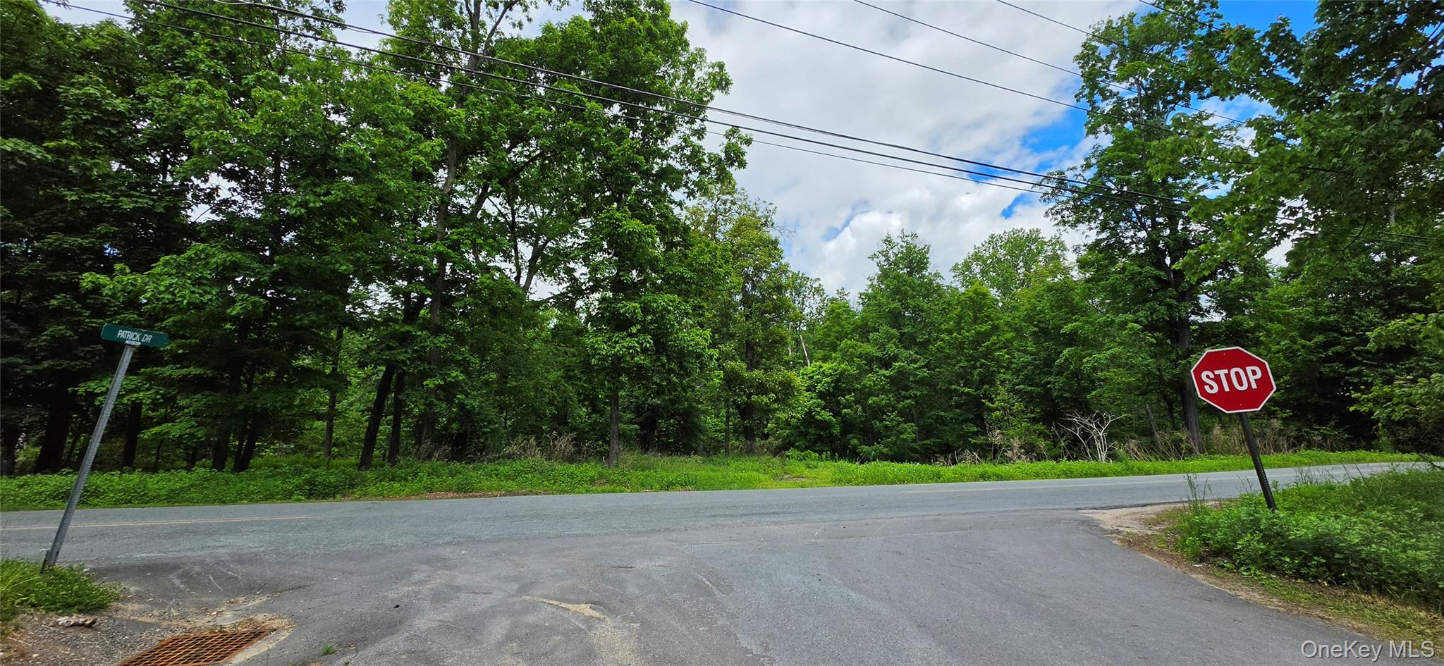 00 Ski Run Road – For Sale photo 6