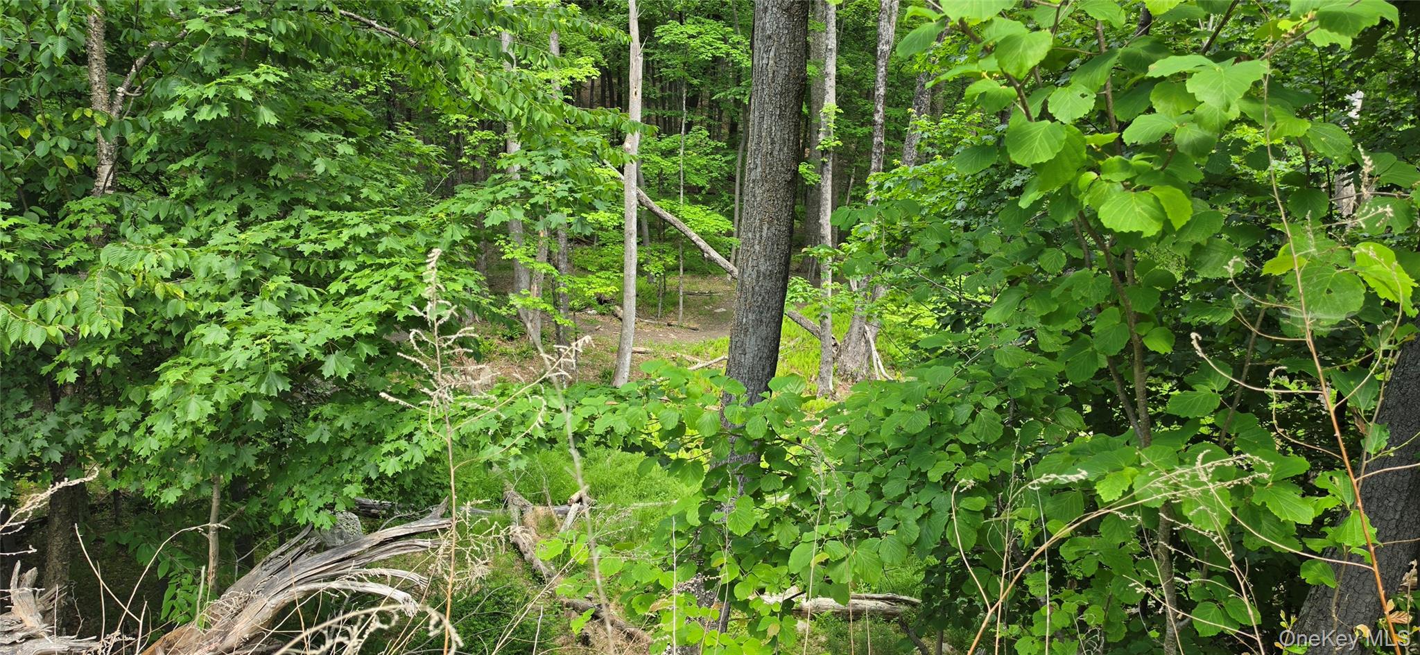 00 Ski Run Road – For Sale photo 12