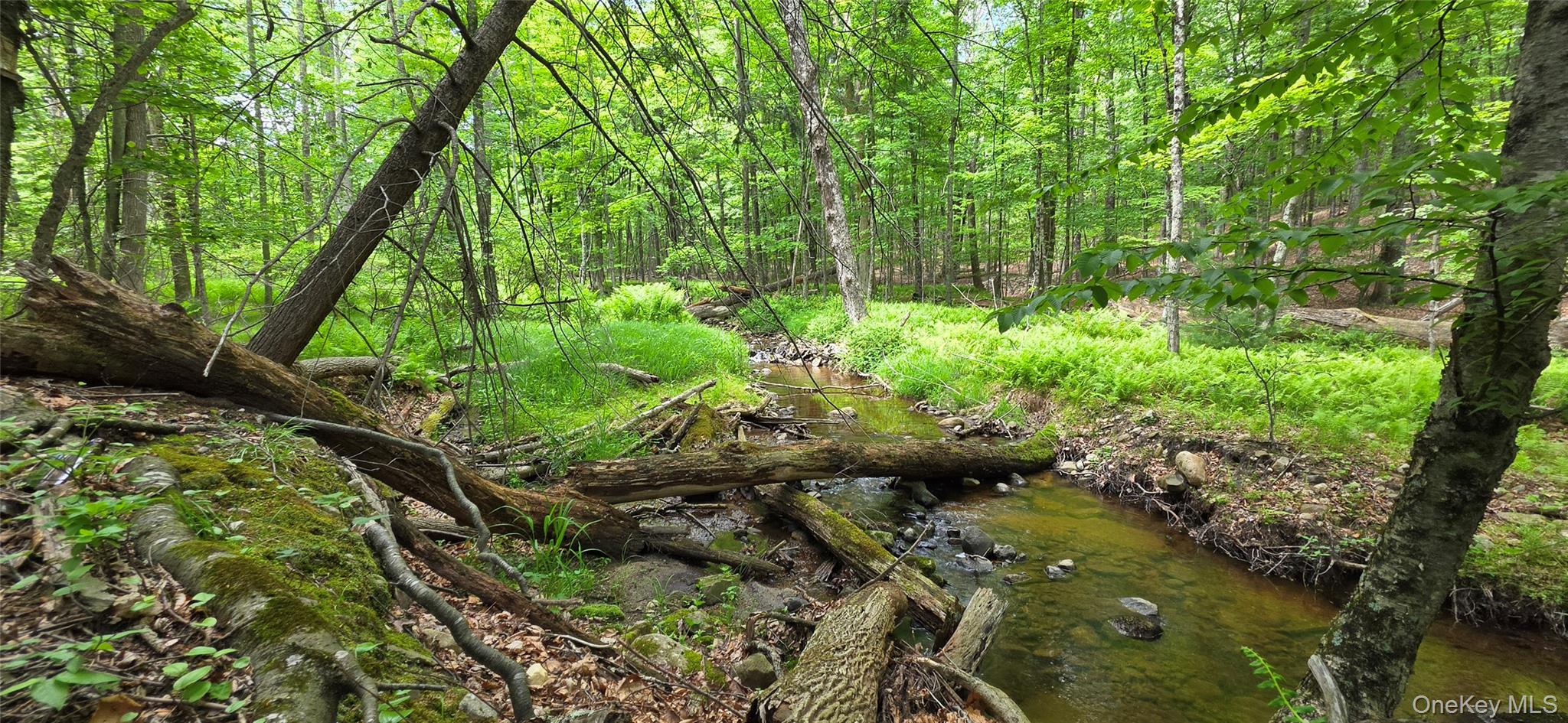 00 Ski Run Road – For Sale photo 11
