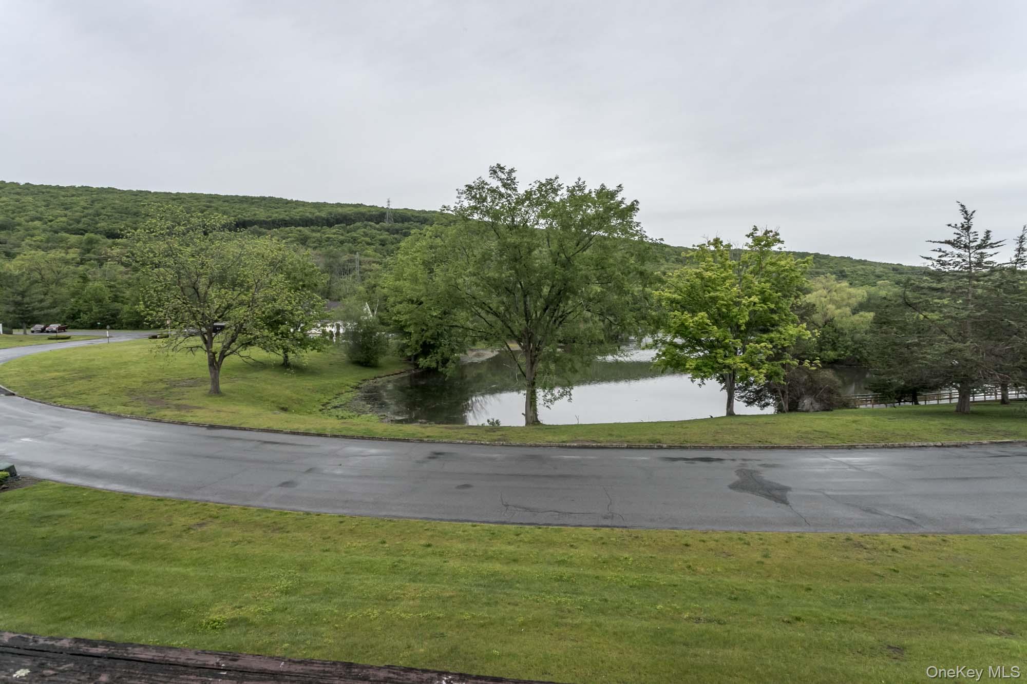 804 Swan Hollow Road – For Sale photo 16