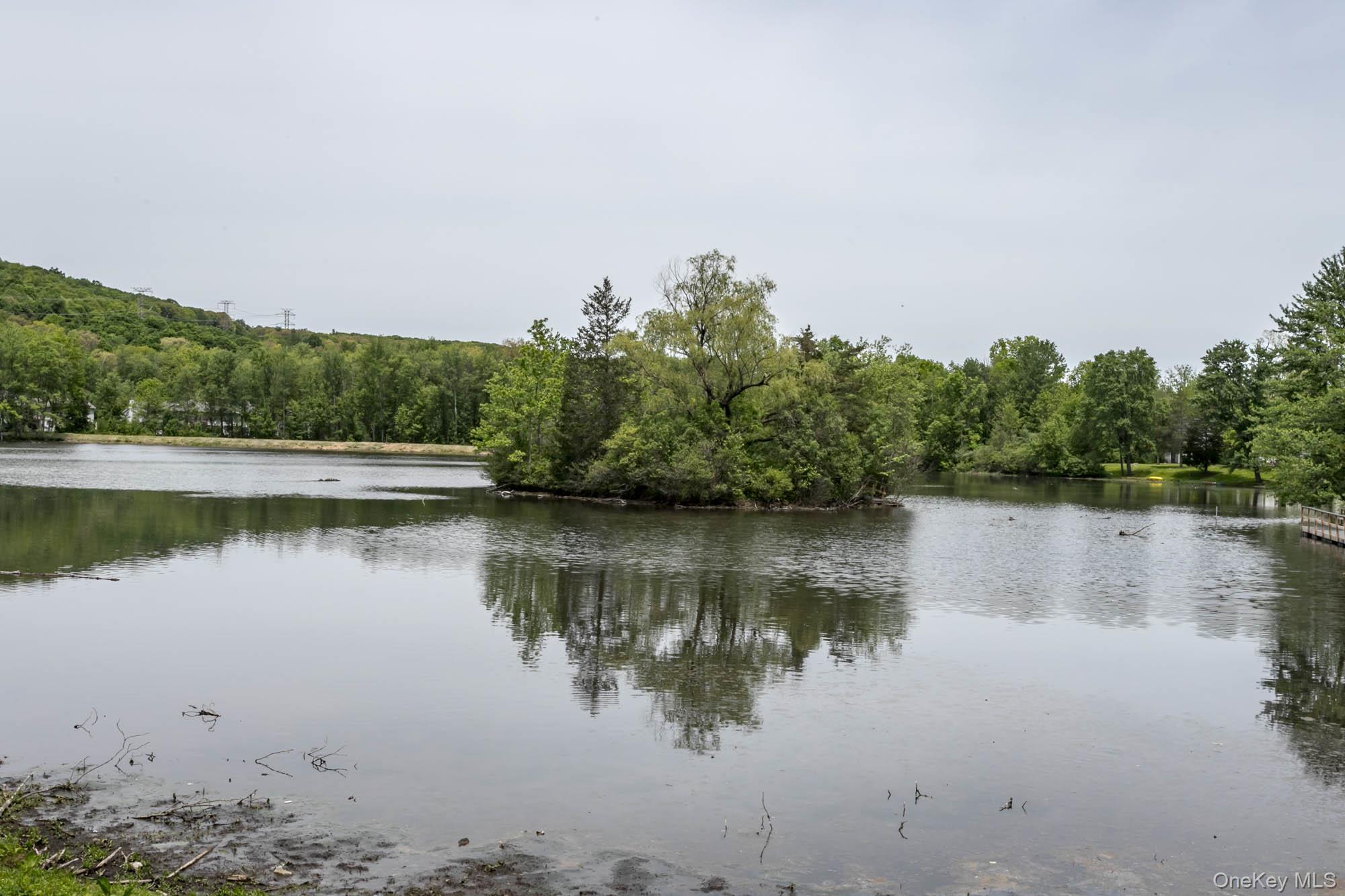 804 Swan Hollow Road – For Sale photo 15