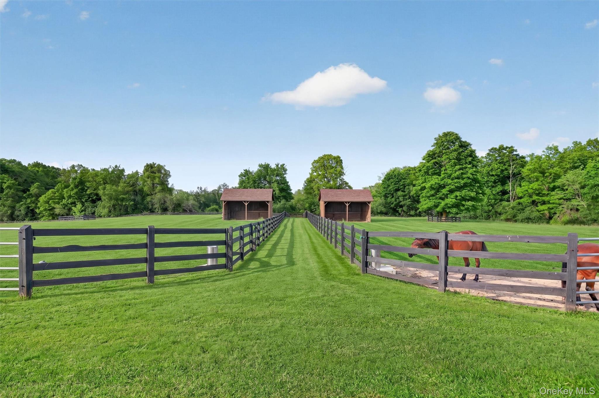 165 Hasbrouck Road – For Sale photo 6