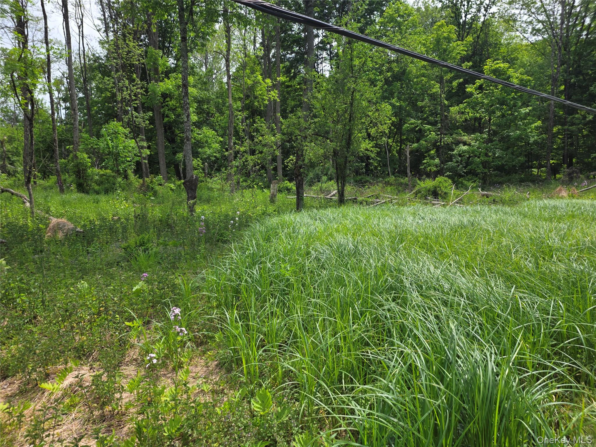 Cr-2 Road – For Sale photo 8