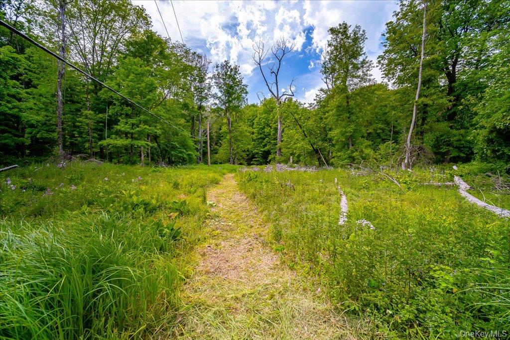 Cr-2 Road – For Sale photo 10