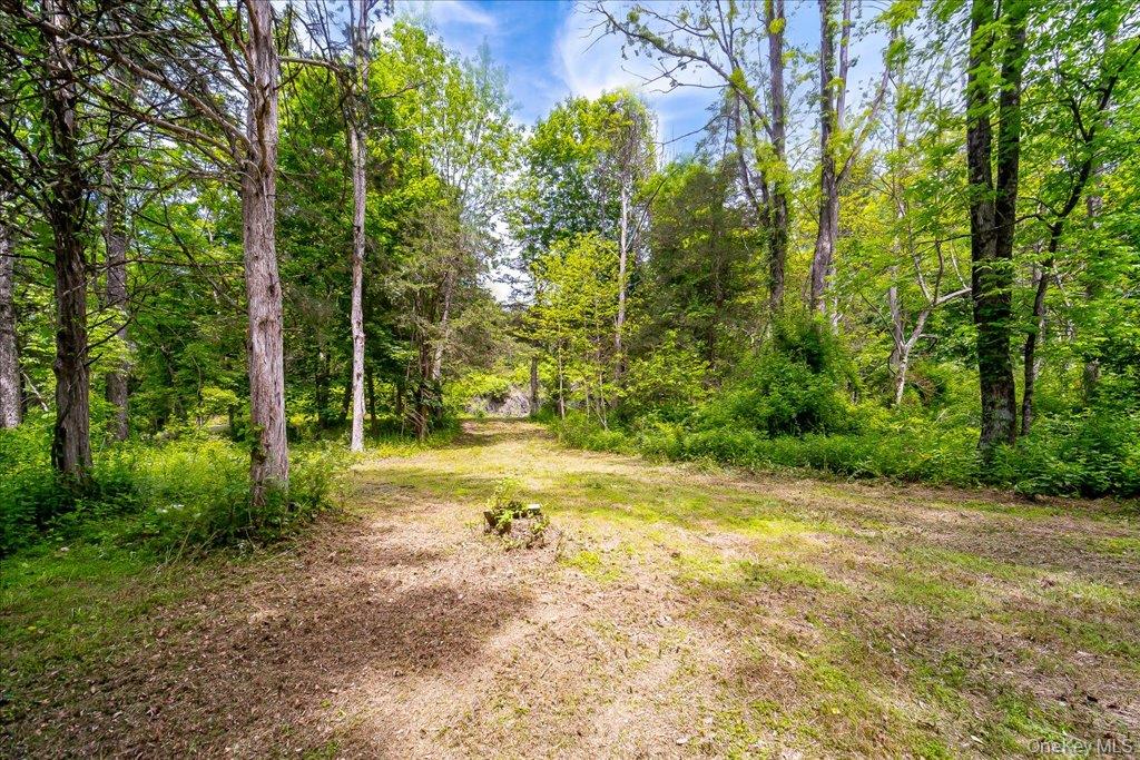 Cr-2 Road – For Sale photo 18