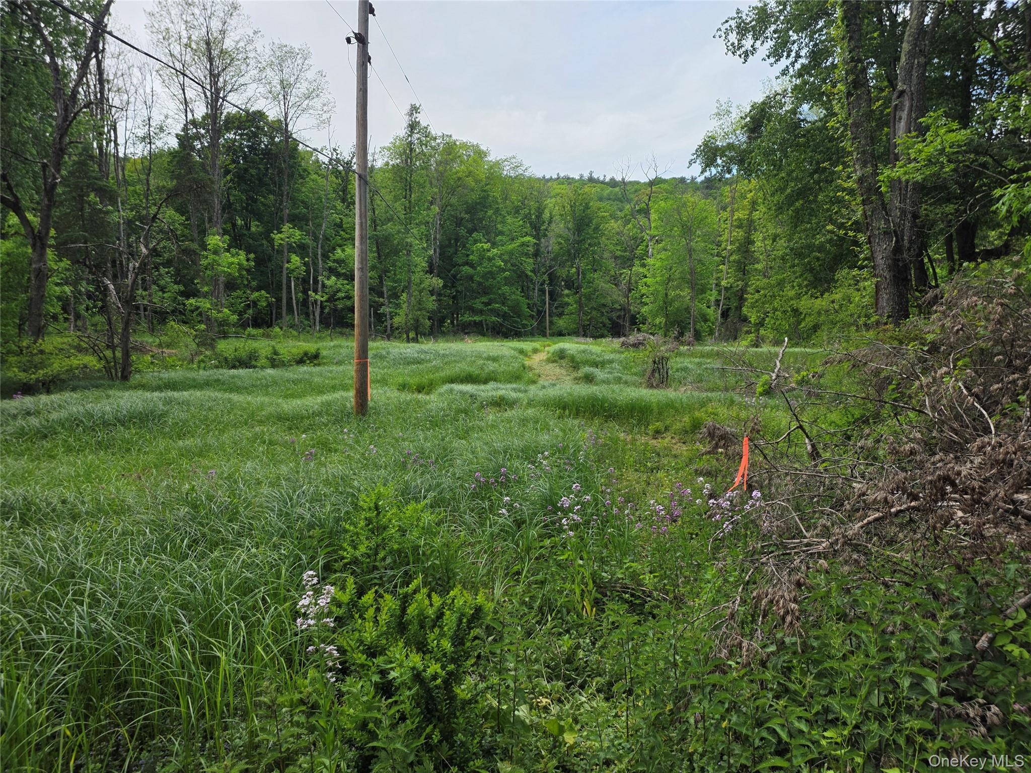 Cr-2 Road – For Sale photo 5