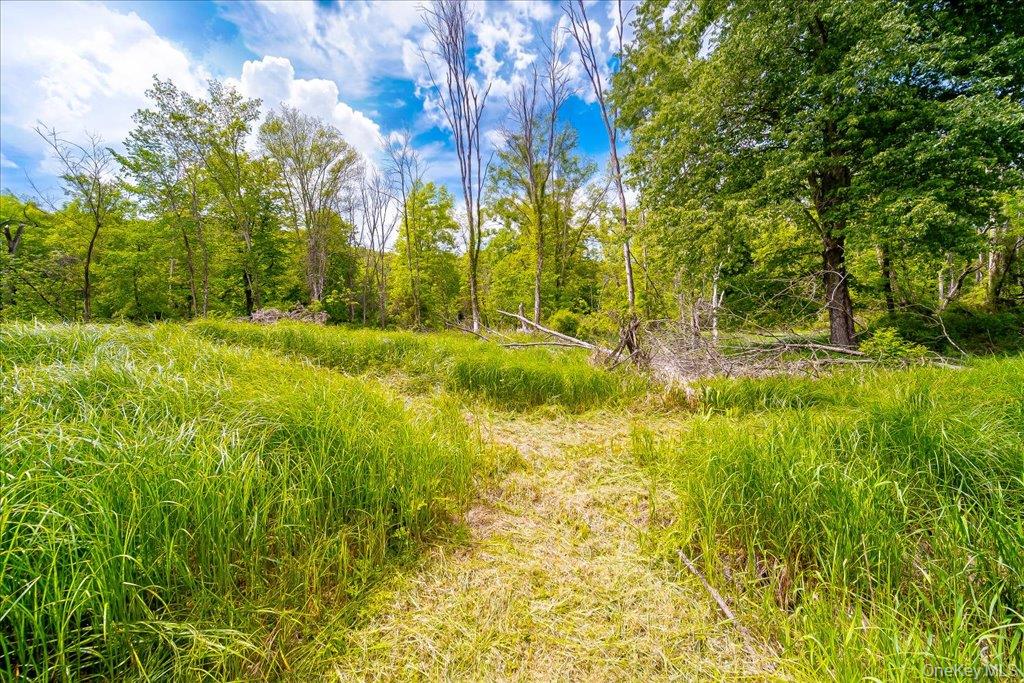 Cr-2 Road – For Sale photo 23