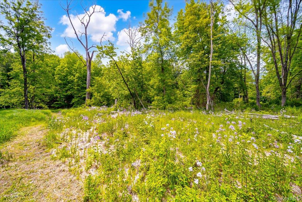 Cr-2 Road – For Sale photo 27