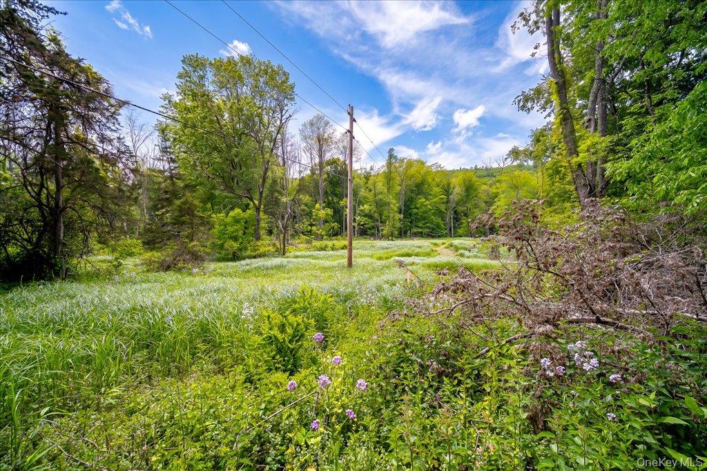 Cr-2 Road – For Sale photo 22