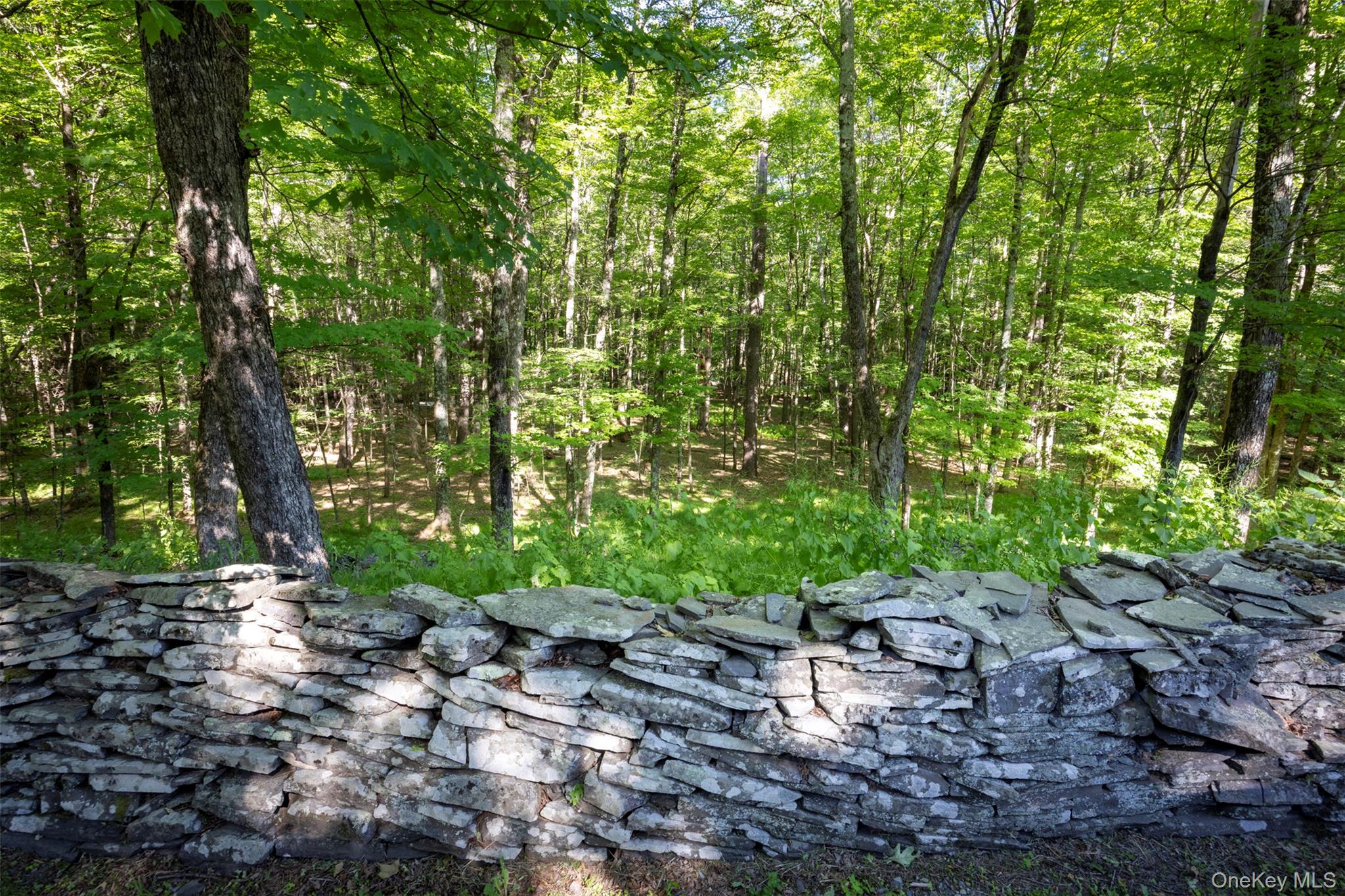 19 Blues Quarry – For Sale photo 39