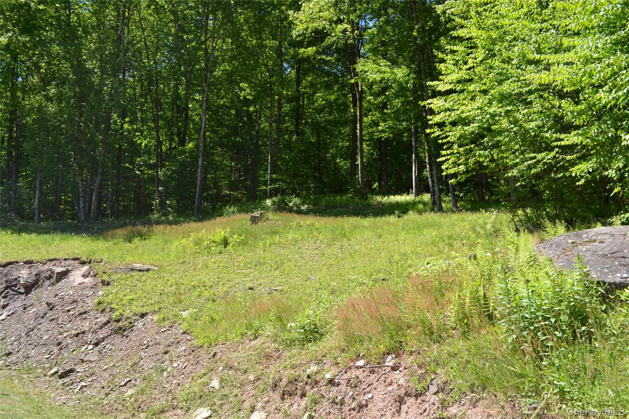 157 Wolfs Lair – For Sale photo 37