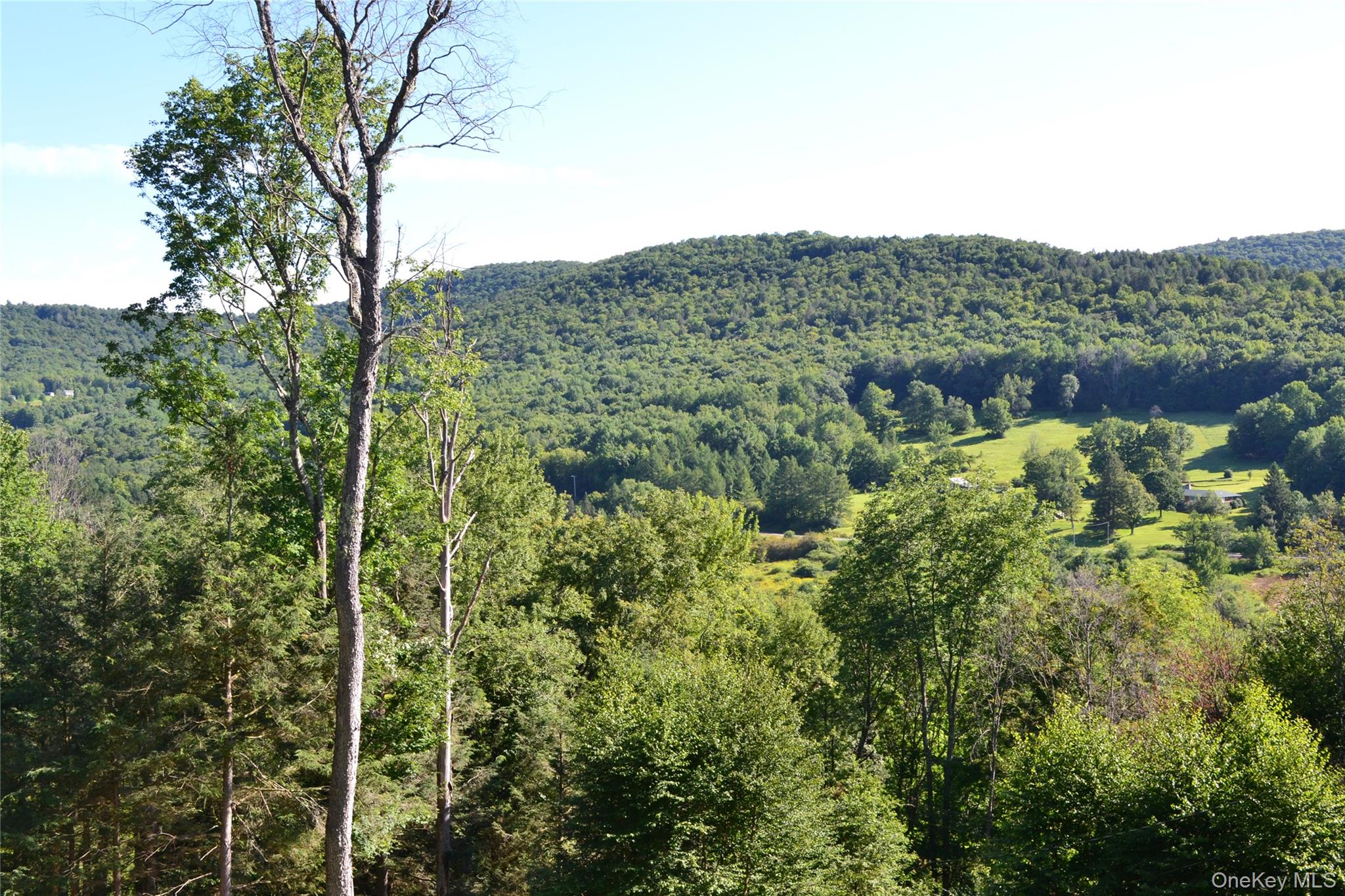 157 Wolfs Lair – For Sale photo 8