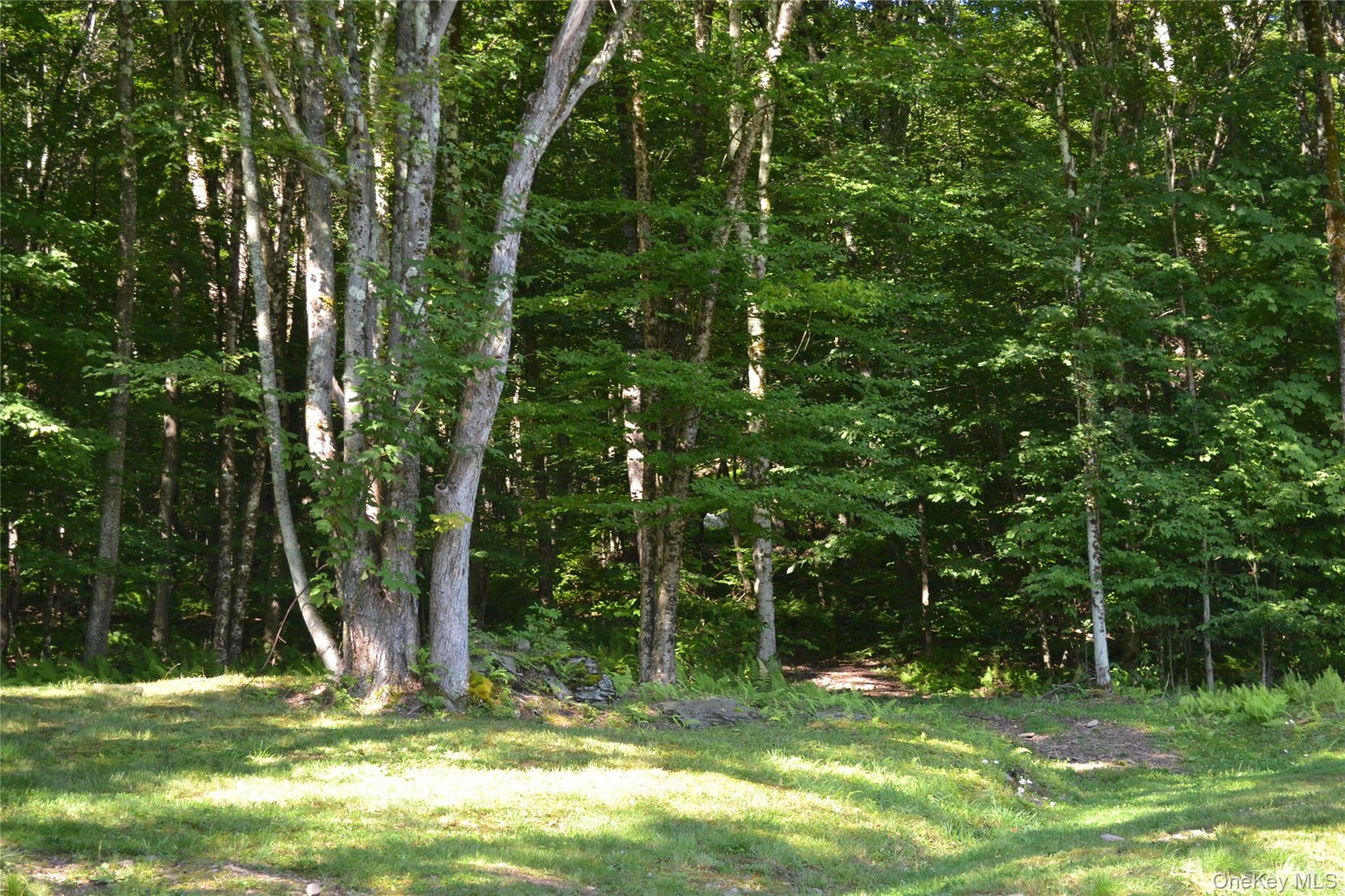 157 Wolfs Lair – For Sale photo 12