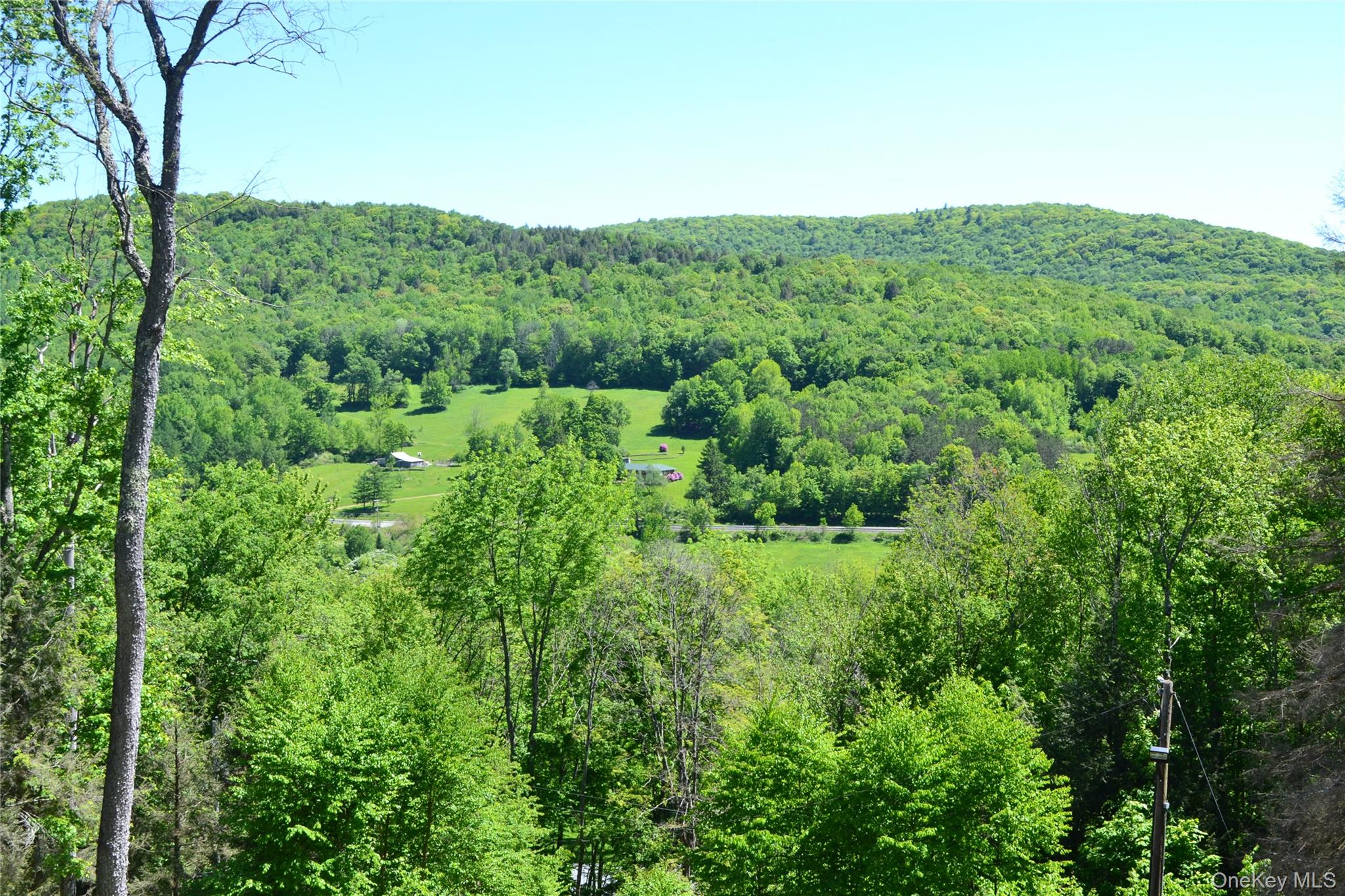 157 Wolfs Lair – For Sale photo 11