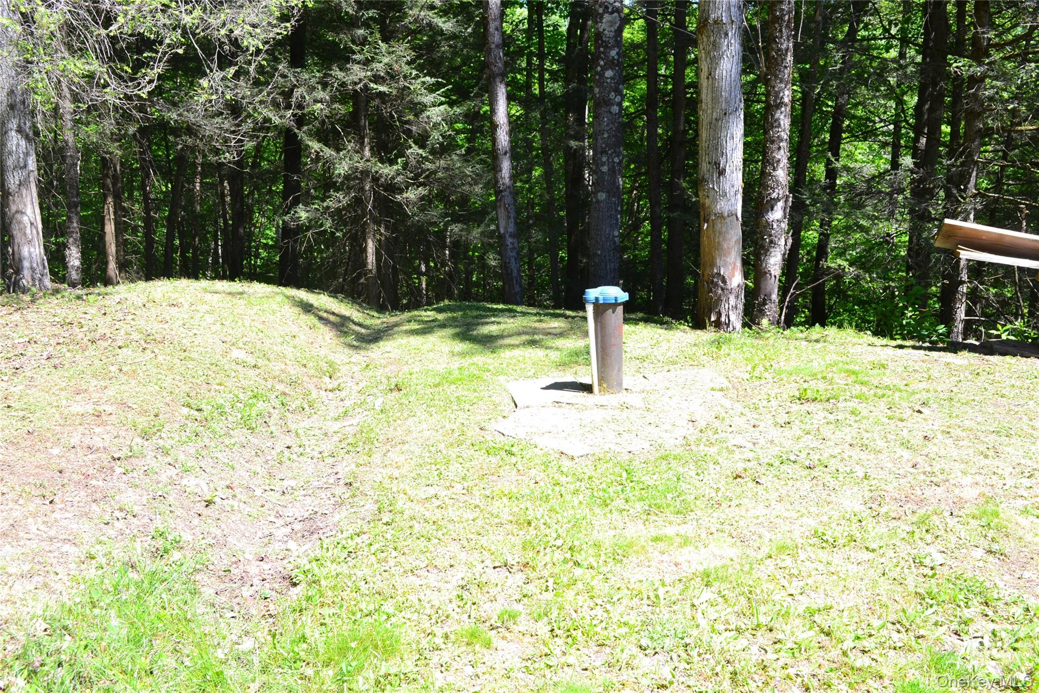 157 Wolfs Lair – For Sale photo 36