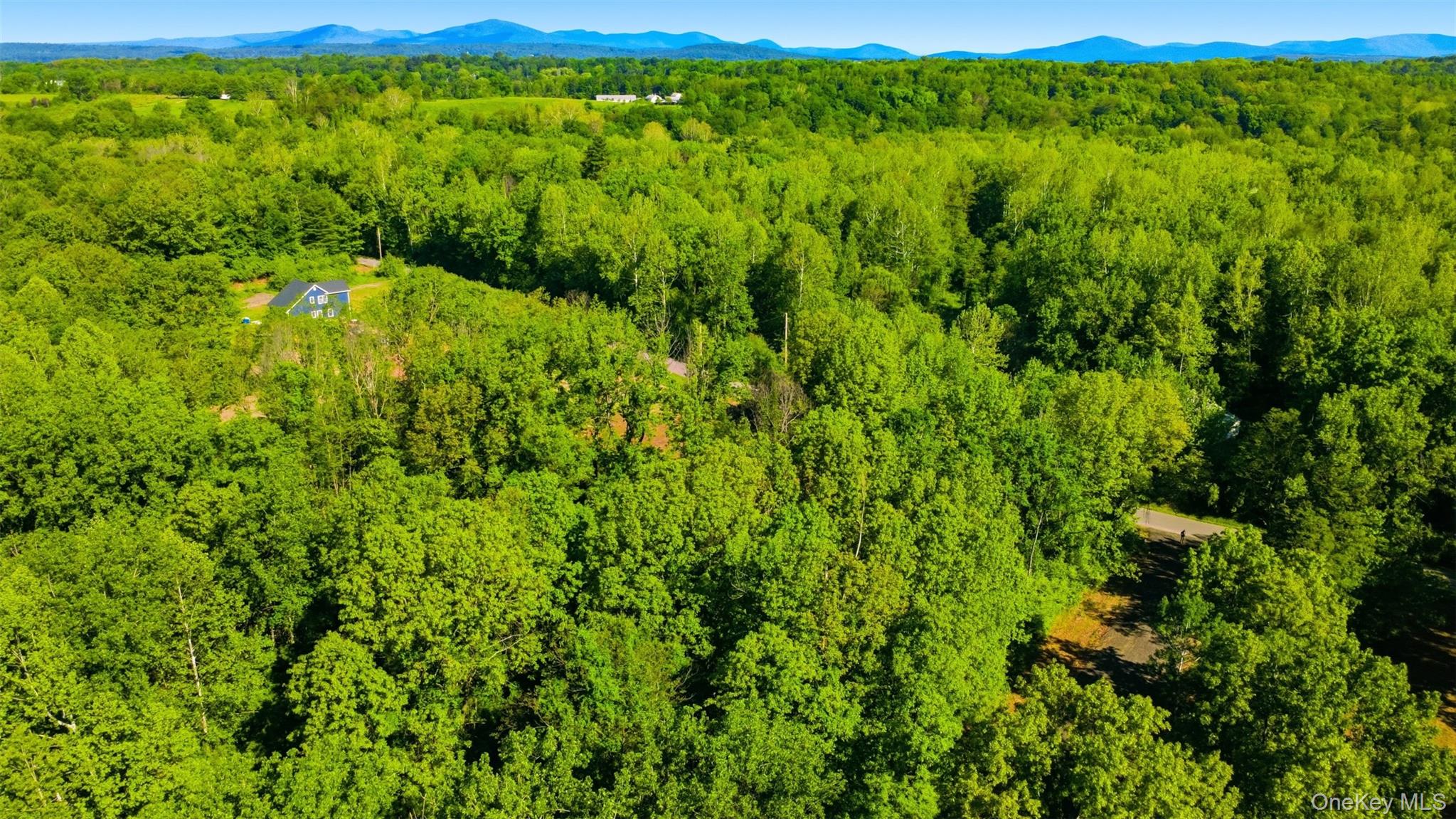238 Bruceville Road – For Sale photo 4