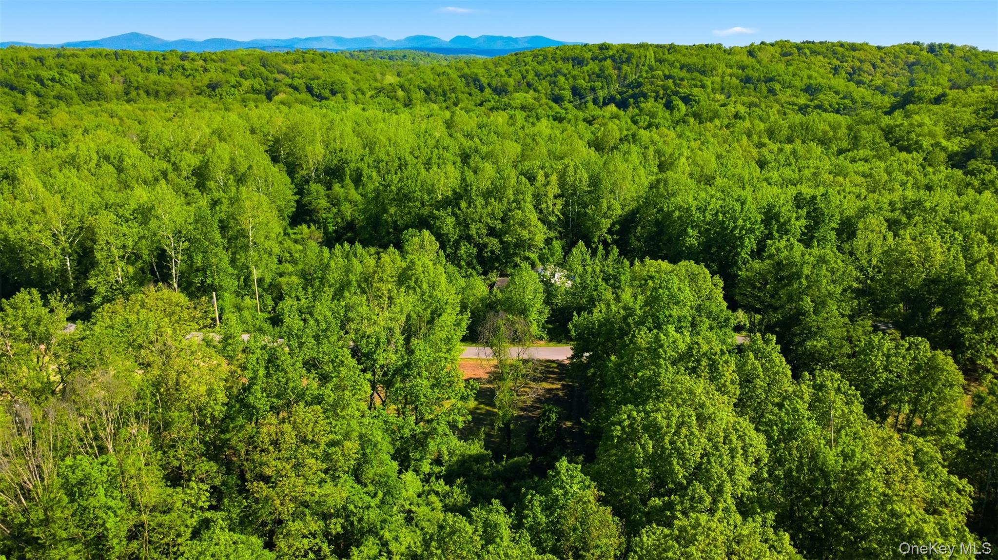 238 Bruceville Road – For Sale photo 5